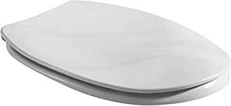 VILLEROY & BOCH COLANI WC sedátko 99996101 - bílá