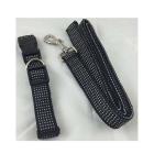 Sada vodítko pro psa s obojkem, 1,2m, černé #150012110