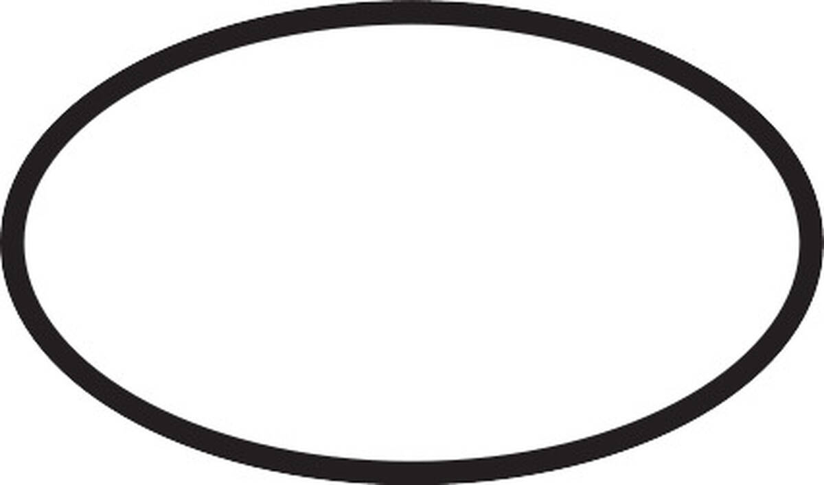 HANSGROHE O-kroužek 35x2,5 #96006000