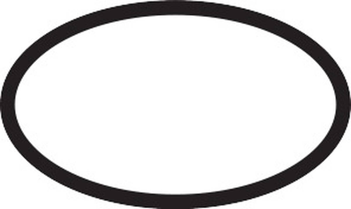 HANSGROHE ND O-kroužek 24x2 #98388000