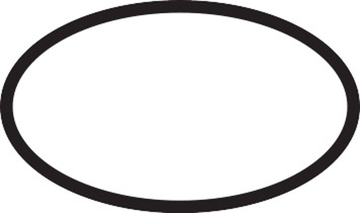 HANSGROHE ND O-kroužek 30x1,5mm #98433000