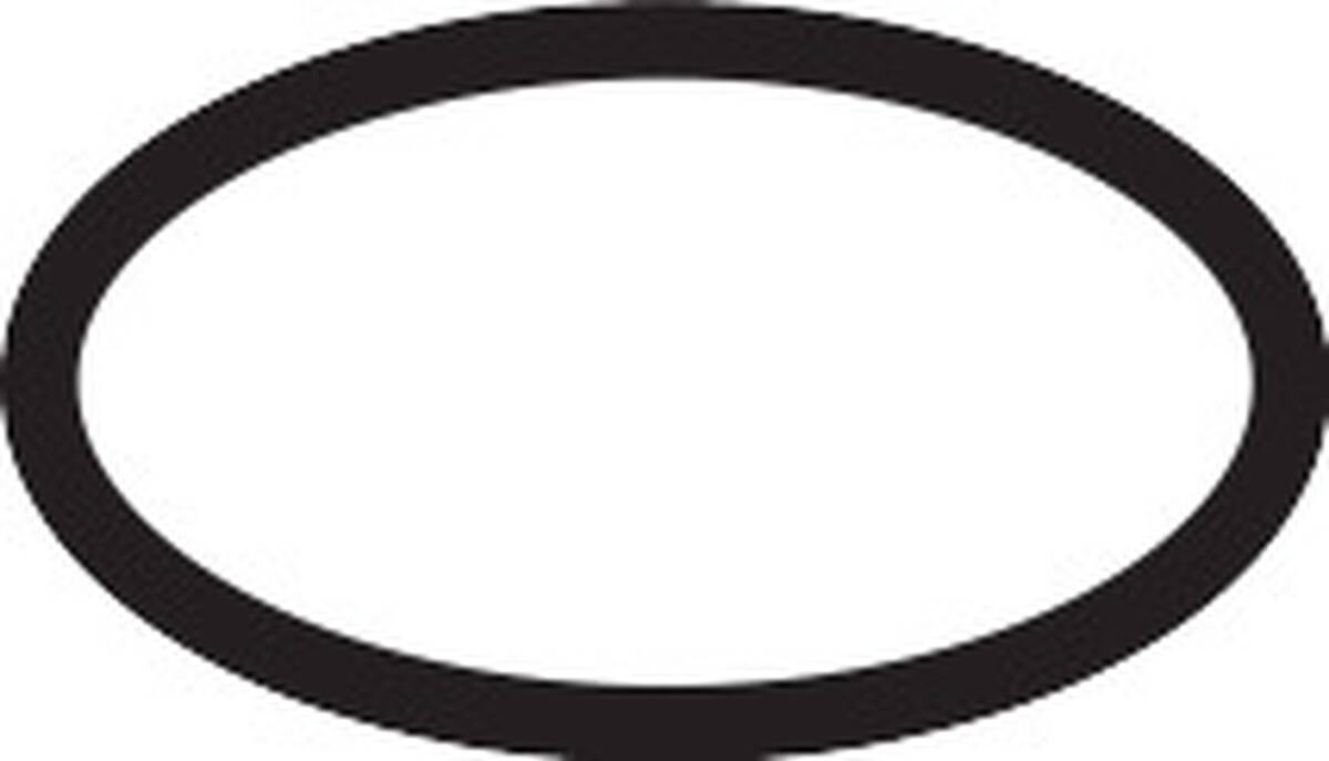 HANSGROHE ND O-kroužek 20x1,5mm #98197000