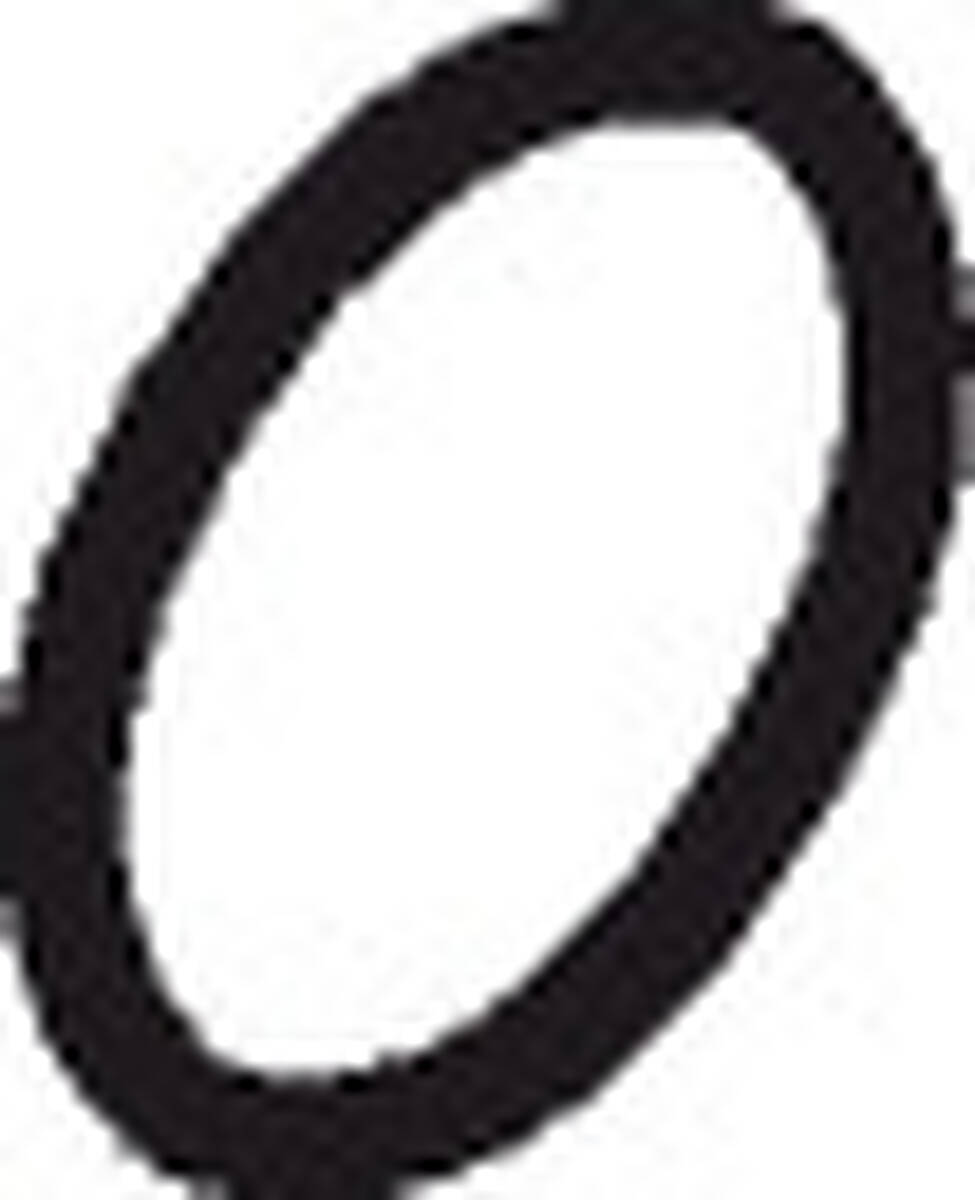 HANSGROHE O-kroužek 10x1,5 #98123000