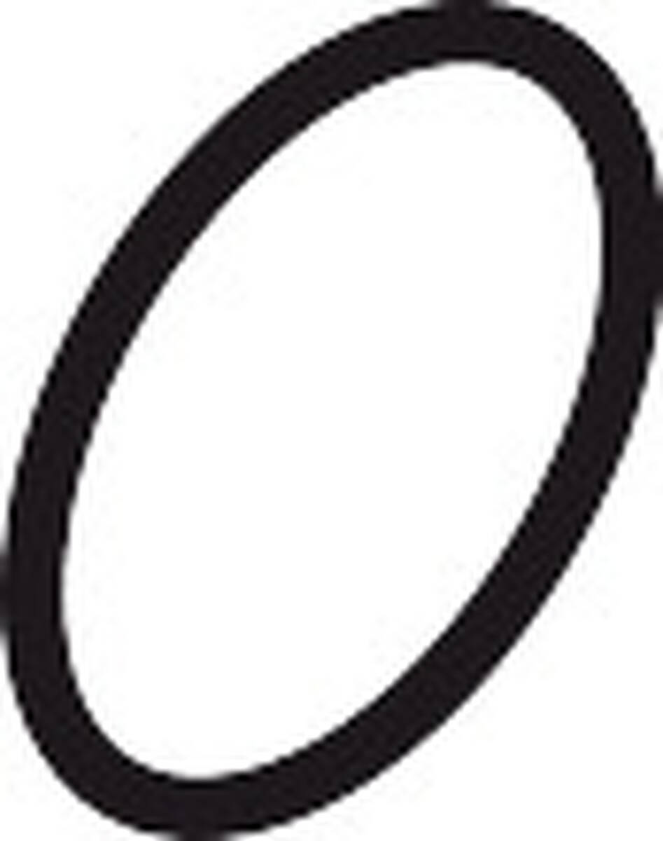 HANSGROHE O-kroužek 30x5 #98153000