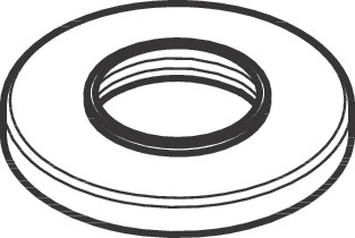 HANSGROHE rozeta pro rukojeť #93698670