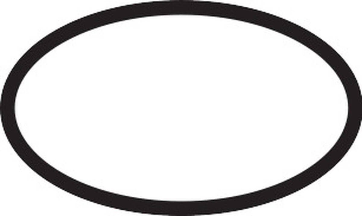 HANSGROHE O-kroužek 25x1,5 #98146000