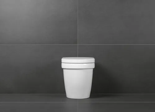 VILLEROY BOCH WC sedátko Architectura, bílá Alpine #98M9D101, obrázek 6