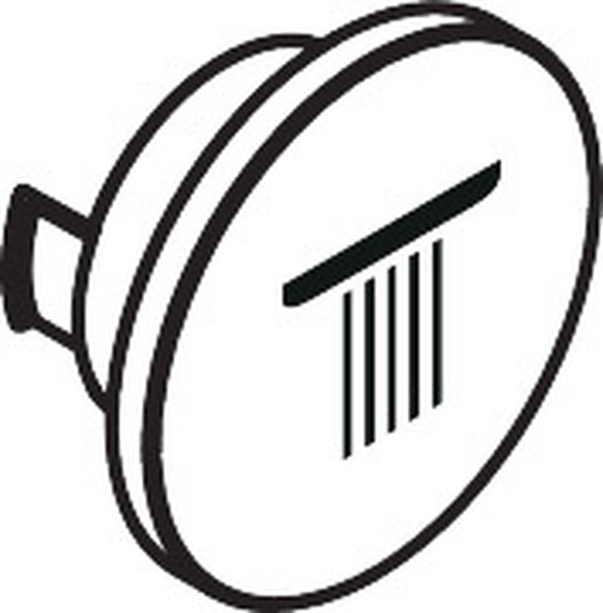 HANSGROHE Symbol horní sprchy #93308330 - leštěný černý chrom
